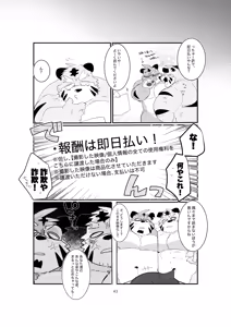 Page 43 of 双子の関西弁虎おっさんが騙されてAV出演する本 - preview thumbnail