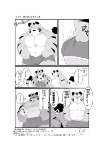 Page 49 of 双子の関西弁虎おっさんが騙されてAV出演する本 - preview thumbnail