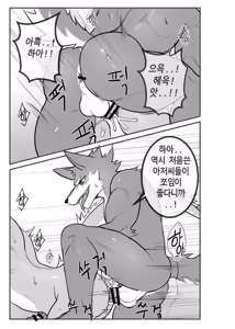 Page 33 of Hotel Room Fur Maintenance - preview thumbnail