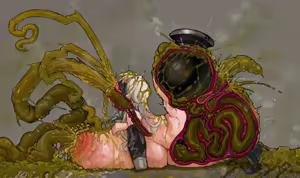 Page 14 of COM - preview thumbnail