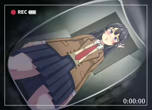 Page 333 of Heitai Gensui - preview thumbnail