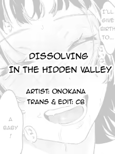 Page 21 of Dissolving in the hidden valley - preview thumbnail