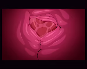 Page 40 of iruru video progress - preview thumbnail