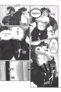 Page 6 of PRIVATE  GYM - preview thumbnail