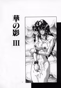 Page 37 of Hana no Kage | Shadow of Splendor - preview thumbnail