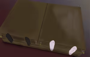 Page 284 of himari. / imoutoid - preview thumbnail