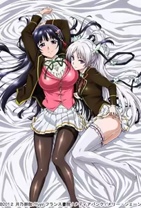 Ojou-sama Yomeiri Kousou! 1 — hentai manga cover on Fhentai