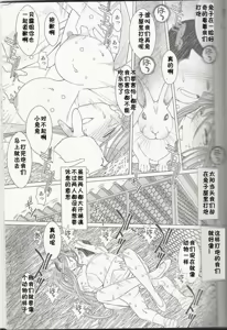Page 493 of MIDGARD系列合集 - preview thumbnail