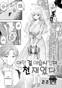 Ecchi no yoshuu o Shitara Tensaidatta｜야한 걸 예습시켰더니 천재였다 - hentai manga cover image
