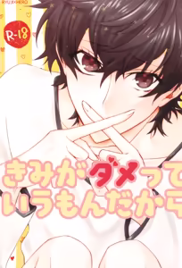 Kimi ga dame tte iu mondakara - hentai manga cover image