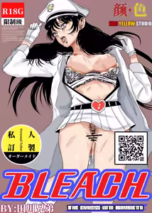 bleach — hentai manga cover on Fhentai