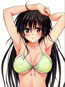 Page 231 of To Love-Ru Fanservice Artworks - preview thumbnail