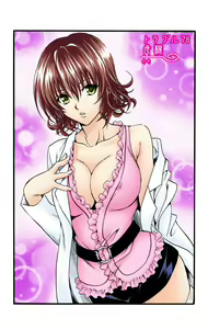 Page 529 of To Love-Ru Fanservice Artworks - preview thumbnail