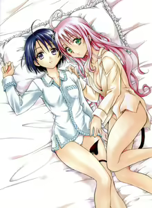 Page 610 of To Love-Ru Fanservice Artworks - preview thumbnail