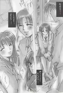 Page 13 of Gips - preview thumbnail