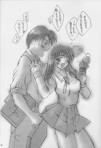 Page 33 of Gips - preview thumbnail