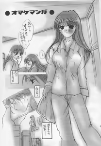 Page 36 of Gips - preview thumbnail