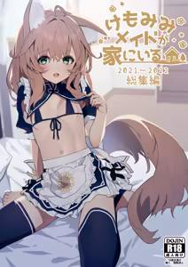 Kemomimi Maid ga Ie ni Iru Soushuuhen 1-satsume — hentai manga cover on Fhentai