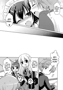 Page 17 of order MAID - preview thumbnail