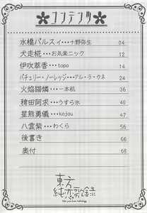 Page 3 of Touhou Junrenkaroku - preview thumbnail