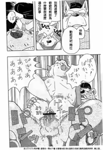 Page 11 of 珍宝药 - preview thumbnail