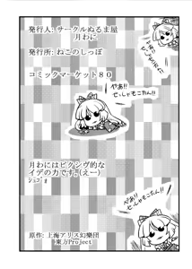 Page 37 of Hijirin Yume Mousou - preview thumbnail