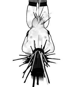 Page 246 of LOLI R18G Sets 2024 - preview thumbnail