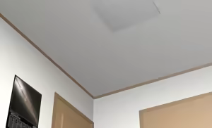 Page 442 of Flatcheez (uncensored) - preview thumbnail