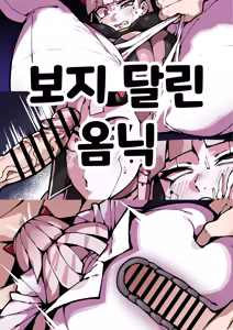 보지 달린 옴닉 — hentai manga cover on Fhentai