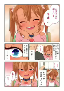Page 341 of Misato - preview thumbnail