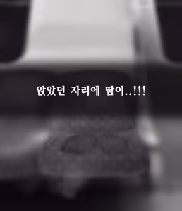 Page 214 of 프라이빗 SM 룸 [Korean] 프라이빗 SM 룸 01-14 - preview thumbnail