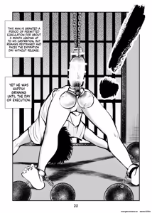 Page 20 of Kyosei Nyuumon 5 - preview thumbnail