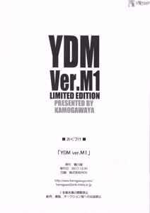 Page 12 of YDM ver.M1 - preview thumbnail