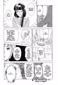 Page 235 of Feti Ningyou twin - preview thumbnail