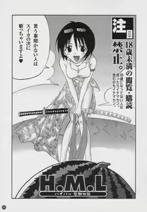 Page 2 of H.M.L - preview thumbnail