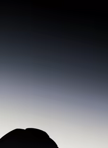 Page 427 of 16x647 - preview thumbnail