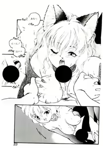 Page 23 of Jiken C' - preview thumbnail