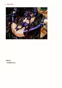 Page 345 of IdealReality Demo Recollection - preview thumbnail