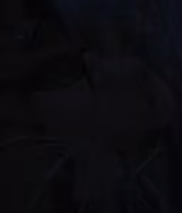 Page 1195 of Pixiv / FANBOX - FULL GALLERY - preview thumbnail