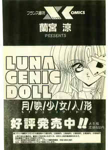 Page 223 of COMIC Papipo Gaiden 1995-11 Vol.17 - preview thumbnail