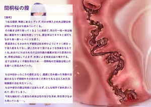 Page 14 of 間桐桜のエロステ立ち絵ト - preview thumbnail