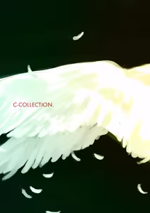 Page 564 of Shoujo Kishidan & INKPOT Dai Doujin Collection 1994-2022 - preview thumbnail
