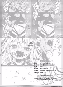 Page 19 of 8EYK02 - preview thumbnail