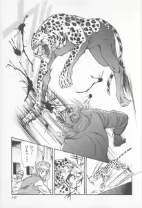 Page 147 of Midnight Panther Volume 1 - preview thumbnail