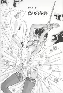 Page 85 of Midnight Panther Volume 2 - preview thumbnail