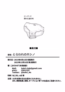 Page 28 of Toraware no Hoshino - preview thumbnail