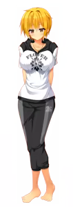 Page 442 of Boku no xx wa Ryousei-tachi no Tokken Desu! - Character Sprites - preview thumbnail