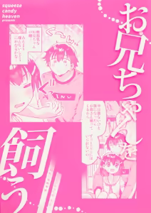 Page 22 of Onii-chan o Kau - Keeping my brother - preview thumbnail