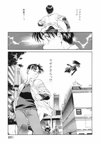 Page 204 of Seraphic Feather 09 - preview thumbnail