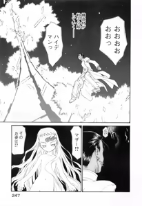 Page 251 of Seraphic Feather 10 - preview thumbnail